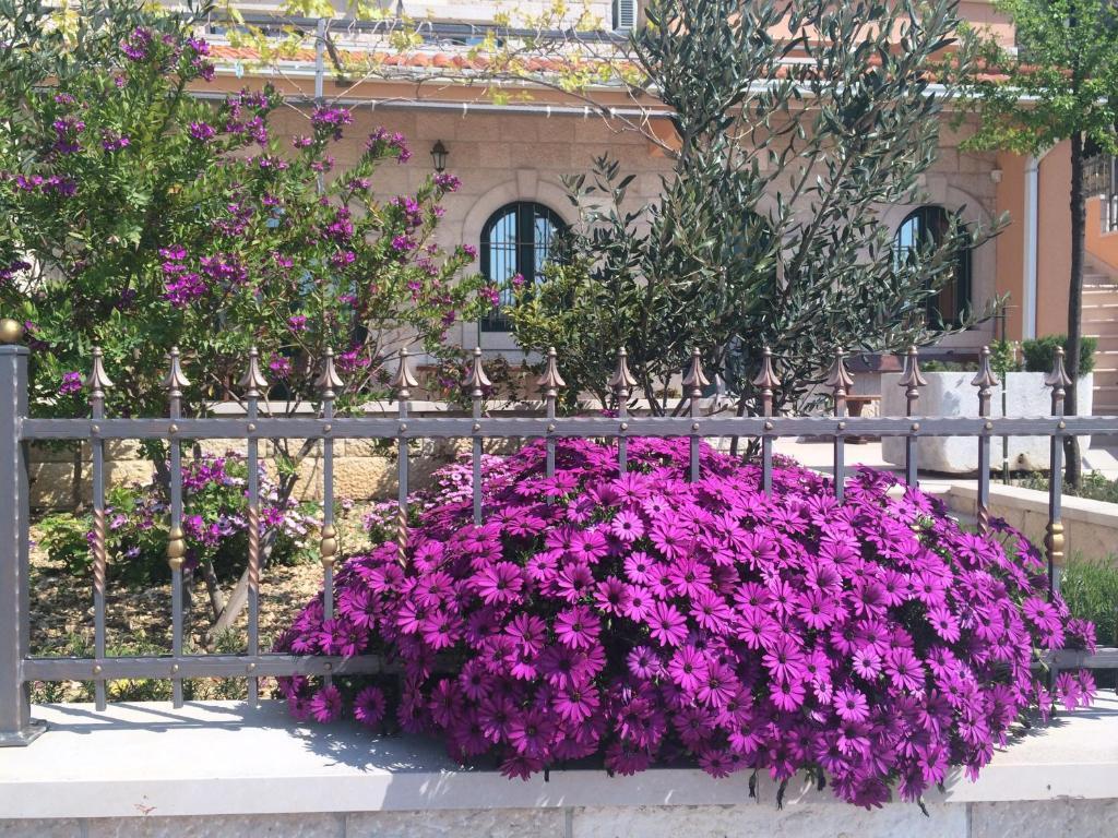 Villa Marija Podgora Exterior photo